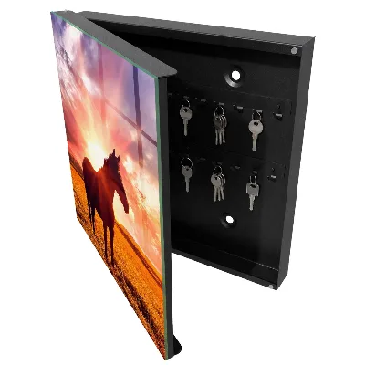 Schlüsselschrank Pferd in der Sonne