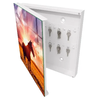 Schlüsselschrank Pferd in der Sonne