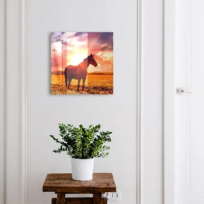 Schlüsselschrank Pferd in der Sonne