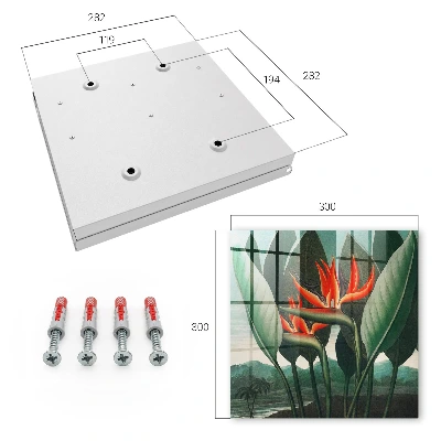Schlüsselkasten modern Die Exotik der Natur