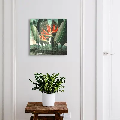 Schlüsselkasten modern Die Exotik der Natur