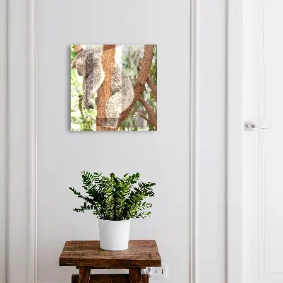 Schlüsselschrank für den Flur Koala-Entspannung