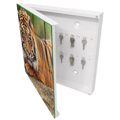 Schlüsselschrank Tiger ruht