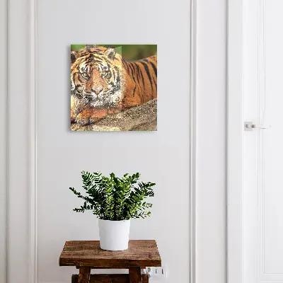 Schlüsselschrank Tiger ruht