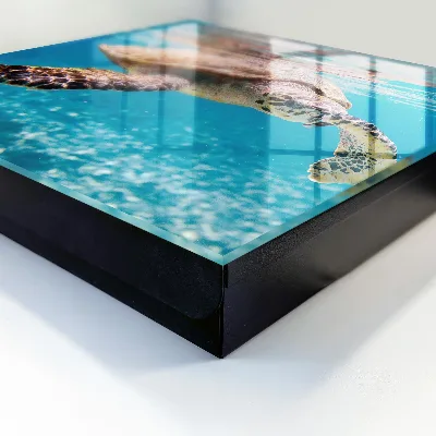 Schlüsselkasten modern Unterwasserwelt