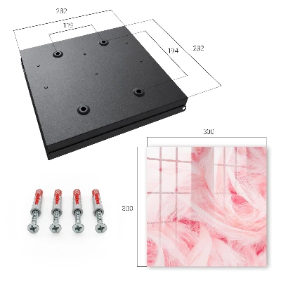 Schlüsselschrank für den Flur Rosa Federn
