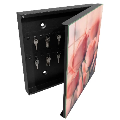 Schlüsselschrank Zarte Blüten