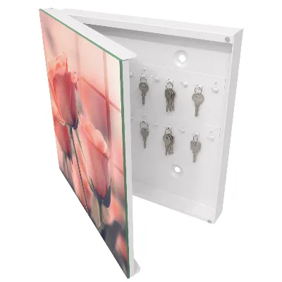 Schlüsselschrank Zarte Blüten