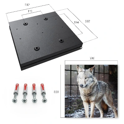 Schlüsselkasten modern Wolf im Wald