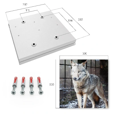 Schlüsselkasten modern Wolf im Wald