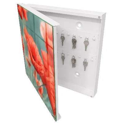 Schlüsselkasten modern Rote Mohnblumen