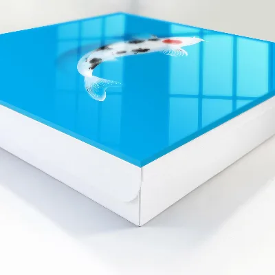 Schlüsselkasten modern Koi-Karpfen