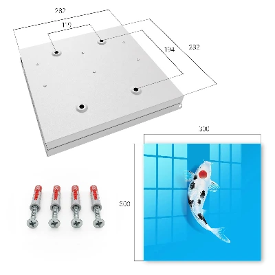Schlüsselkasten modern Koi-Karpfen