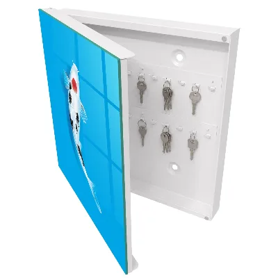 Schlüsselkasten modern Koi-Karpfen