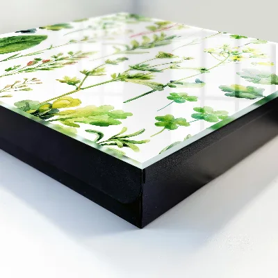 Schlüsselschrank für den Flur Pflanzen-Aquarell