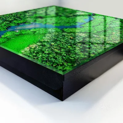 Schlüsselkasten modern Grüne Wälder