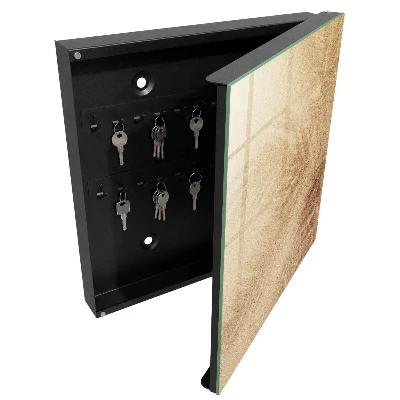 Schlüsselschrank für den Flur Schaumspuren