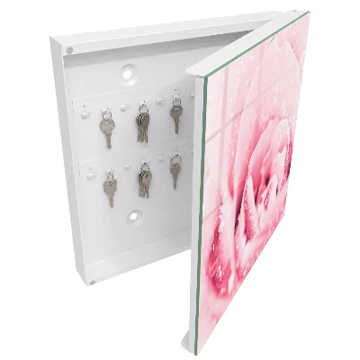 Schlüsselschrank für den Flur Rosenzartheit
