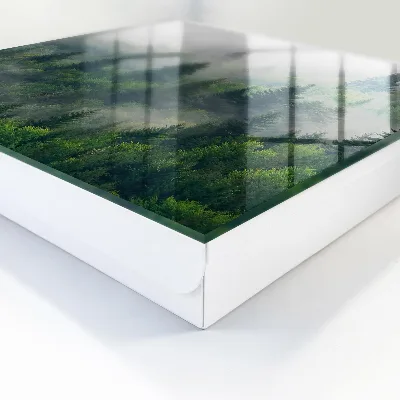 Schlüsselkasten modern Nebelwald