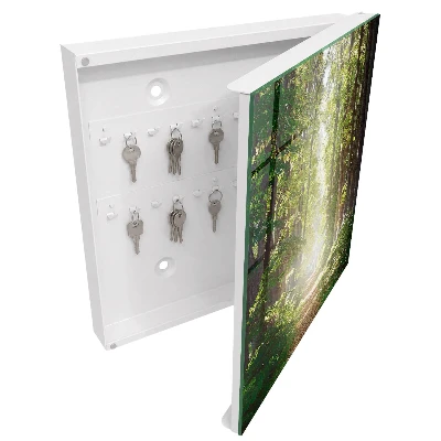Schlüsselkasten modern Waldlandschaft