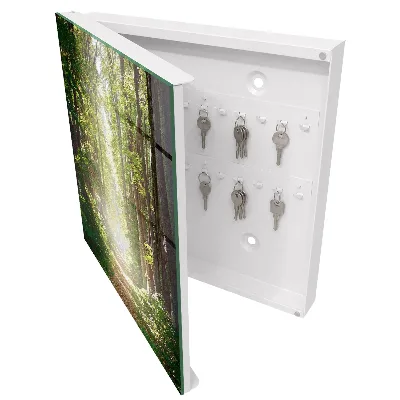 Schlüsselkasten modern Waldlandschaft