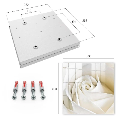 Schlüsselschrank für den Flur Weiße Rose