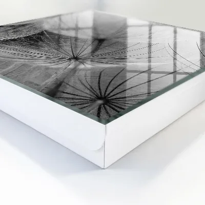 Schlüsselschrank Löwenzahnsamen