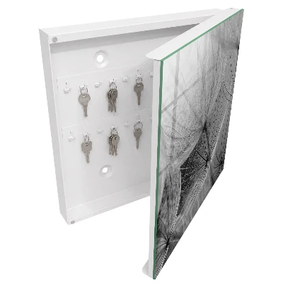 Schlüsselschrank Löwenzahnsamen