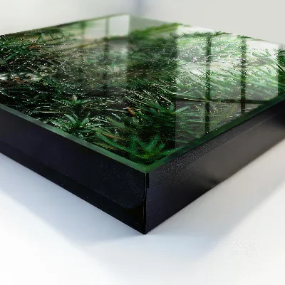 Schlüsselschrank für den Flur Spinnennetz im Wald