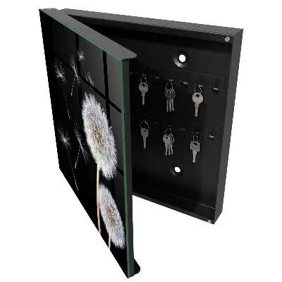 Schlüsselschrank Zarte Löwenzahnblüten
