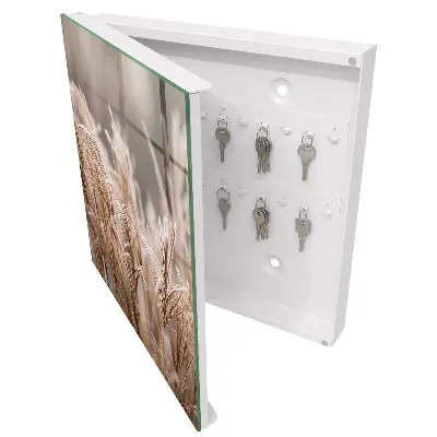 Schlüsselschrank Gefrorenes Gras