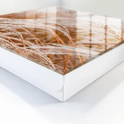 Schlüsselschrank für den Flur Zarte Gräser
