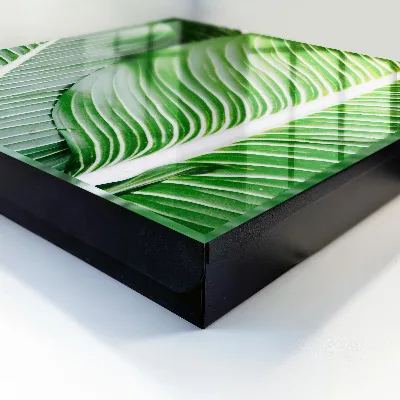 Schlüsselkasten modern Das Grün der Natur