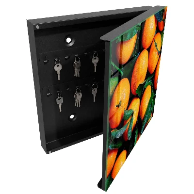 Schlüsselkasten modern Frisches Obst