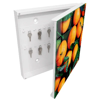Schlüsselkasten modern Frisches Obst