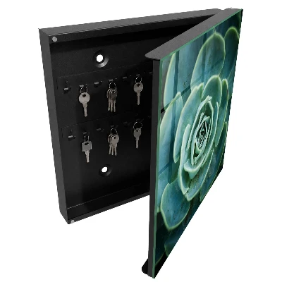 Schlüsselschrank Grüne Rosette