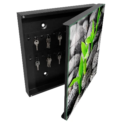 Schlüsselschrank für den Flur Grüne Natur