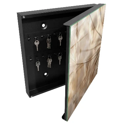 Schlüsselschrank für den Flur Beige Löwenzahn