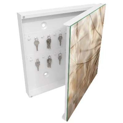 Schlüsselschrank für den Flur Beige Löwenzahn