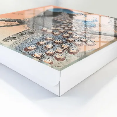 Schlüsselschrank Pfauenschönheit