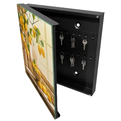 Schlüsselschrank für den Flur Zitronenfrische