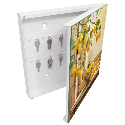 Schlüsselschrank für den Flur Zitronenfrische
