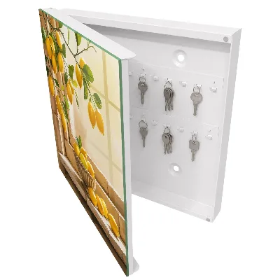 Schlüsselschrank für den Flur Zitronenfrische