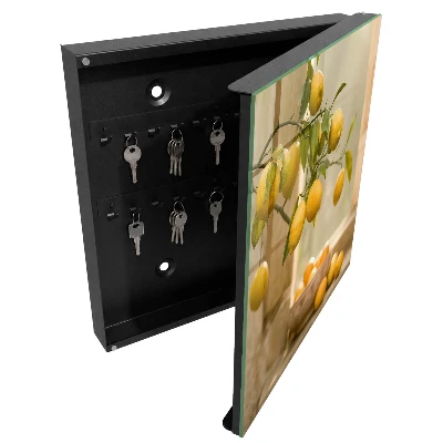 Schlüsselkasten modern Lemon Charm