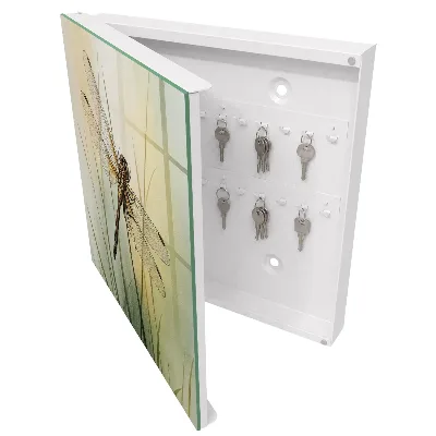 Schlüsselkasten modern Libellennatur