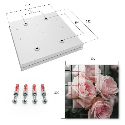 Schlüsselschrank für den Flur Rosa Rosen
