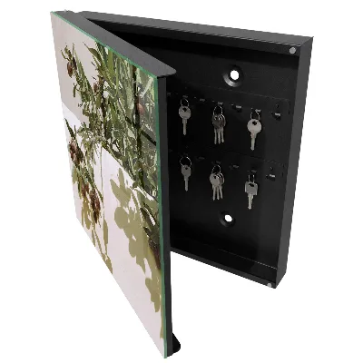 Schlüsselschrank Ölzweig