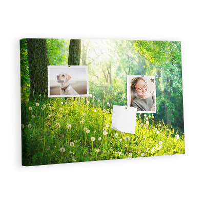 Pinnwand kork Frühlings natur