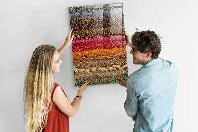 Glas magnettafel Reihen von Gewürzen