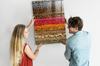 Glas magnettafel Reihen von Gewürzen